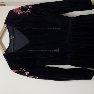 NWOT Velvet Embroidered Dress